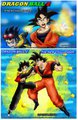 DBZ Fire Goku