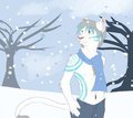 Snowfall