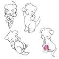 Scottish Fold Kitten sketches