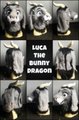 Luca the Bunny Dragon