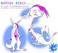 Domino Roo by Domino