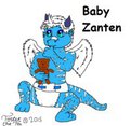 Baby Zanten
