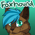 new icon  by Foxhound