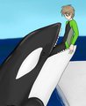 [vore] orca