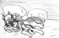 Sketchmission Transposition (part: Grapefruit: Sleepy Puppies Are Sleepy)
