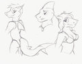 Shark Sketches