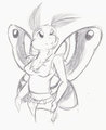 Moth Sketch