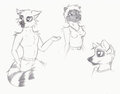 Lemur Sketches