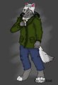 Myself as an Anthro by Wolfirhart