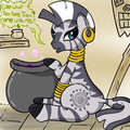 zecora potion shop