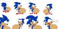Sonic's Multiple Bellies