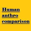 Human Anthro Comparison