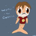 Walter the Goldfish