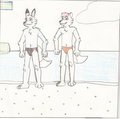 Terry and Filbert on a Swedish Beach by TerryTheBlueFox