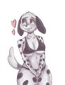 Sketch dalmata