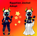 5$ Jackal Adopt - SOLD 