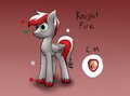 Knight Fire Reference