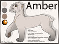 2013 Amber Reference Sheet