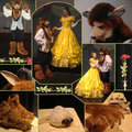 Beauty & Beast - Beast Costume Finished Pictures