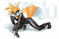 Tails in chat Noir outfit