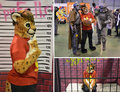 Lozi Cheetah at Igrocon 2015 by Lozi