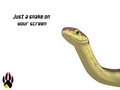 Just a Snake on your screen