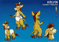 Kelvin the Donkey character sheet