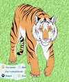 An Amur Tigress by Fritti