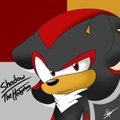 Shadow The Hedgehog by SilverTyler25