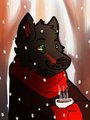 Winter Icon 2015/16 (animated) by BabWolfie