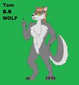 meet tom B.B wolf (safe)  