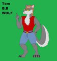 meet tom B.B wolf cloths (safe)  
