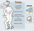 New Tang Reference