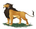 Lion design by furlana