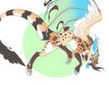 [C] Frisky Dragoness