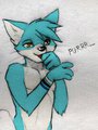 Purr Fox! by lichu246