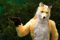 I'm a Fox you know! 