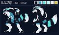 Blizzard Full Ref