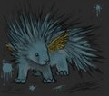 Real Porcupine Oli by therealshadow