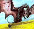 Black Dragon by saeto15