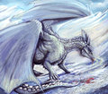 White Dragon by saeto15
