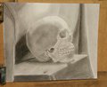 College Drawing Class - Skull