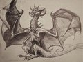 Dragon Sketch by Klark
