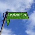 Raspberry Line Chapter 6 - hTife