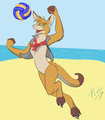 Flinters Volleyball color by Friti