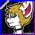 Incognito (Badge) by catears16