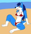 Gift: Rikku On the beach~