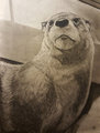 Otter Portrait by Dbruin