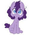 cute filly