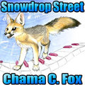 Snowdrop's Theme - Street Edition